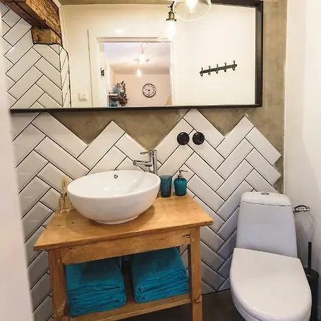 Centrally Located Old Town Loft 里加
