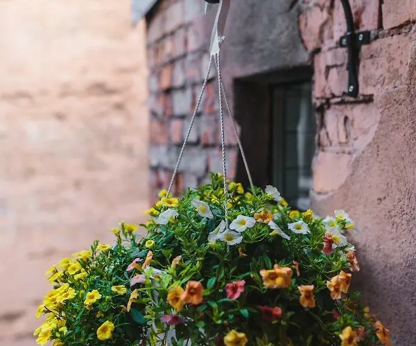 Centrally Located Old Town Loft * Riga