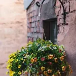 Centrally Located Old Town Loft * リガ